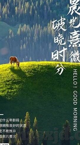 91丨porny丨国产麻豆-国产麻豆的多样魅力与文化探微