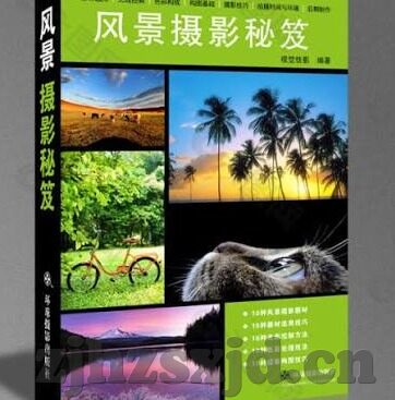 91麻豆大神-91麻豆大神，网络文化的另类视角与影响