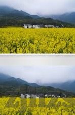 95麻豆视频-网络安全与内容消费的界限，95麻豆视频的公序良俗探讨