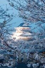 国产麻豆福利视频-新趋势，那些潜伏在国产麻豆福利视频背后的力量与影响