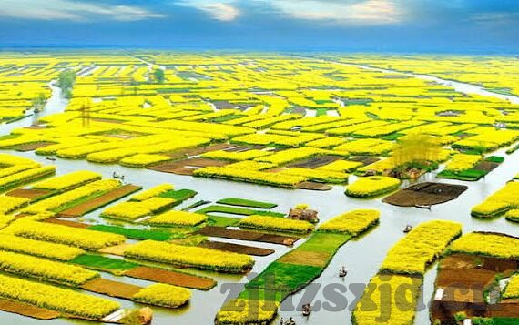 国产麻豆剧果冻传媒观看天堂-探寻国风新域，国产麻豆剧在果冻传媒的视觉盛宴
