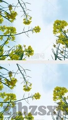 糖心app安装-糖心app的秘密花园，解锁数字生活新体验